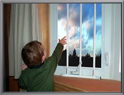 window guard